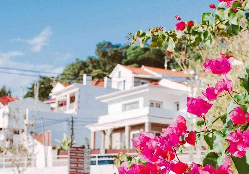 Portugal Startup Visa 2026: IAPMEI Requirements, Incubators, Costs & How to Apply