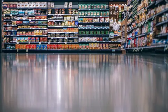 Food and Grocery Expenses