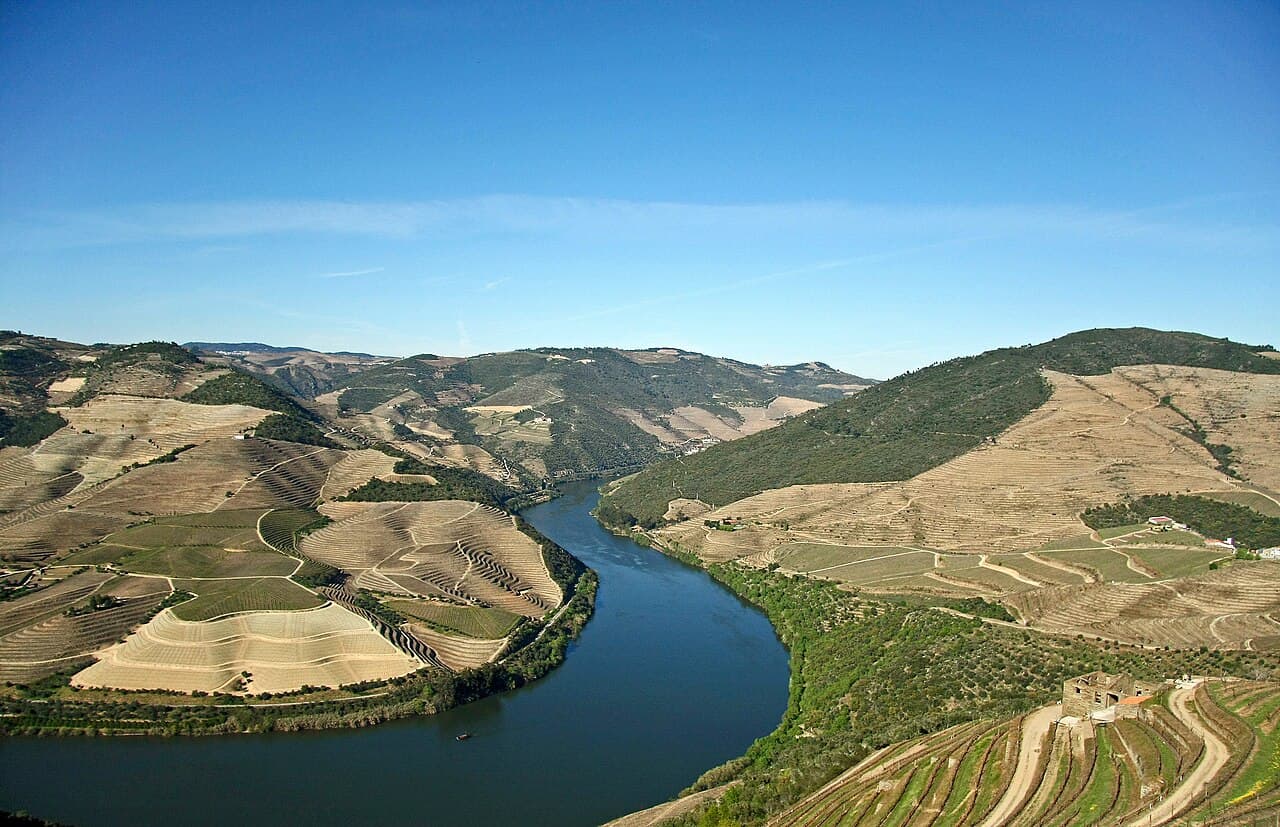 The Douro River winding through terraced vineyards in northern Portugal.